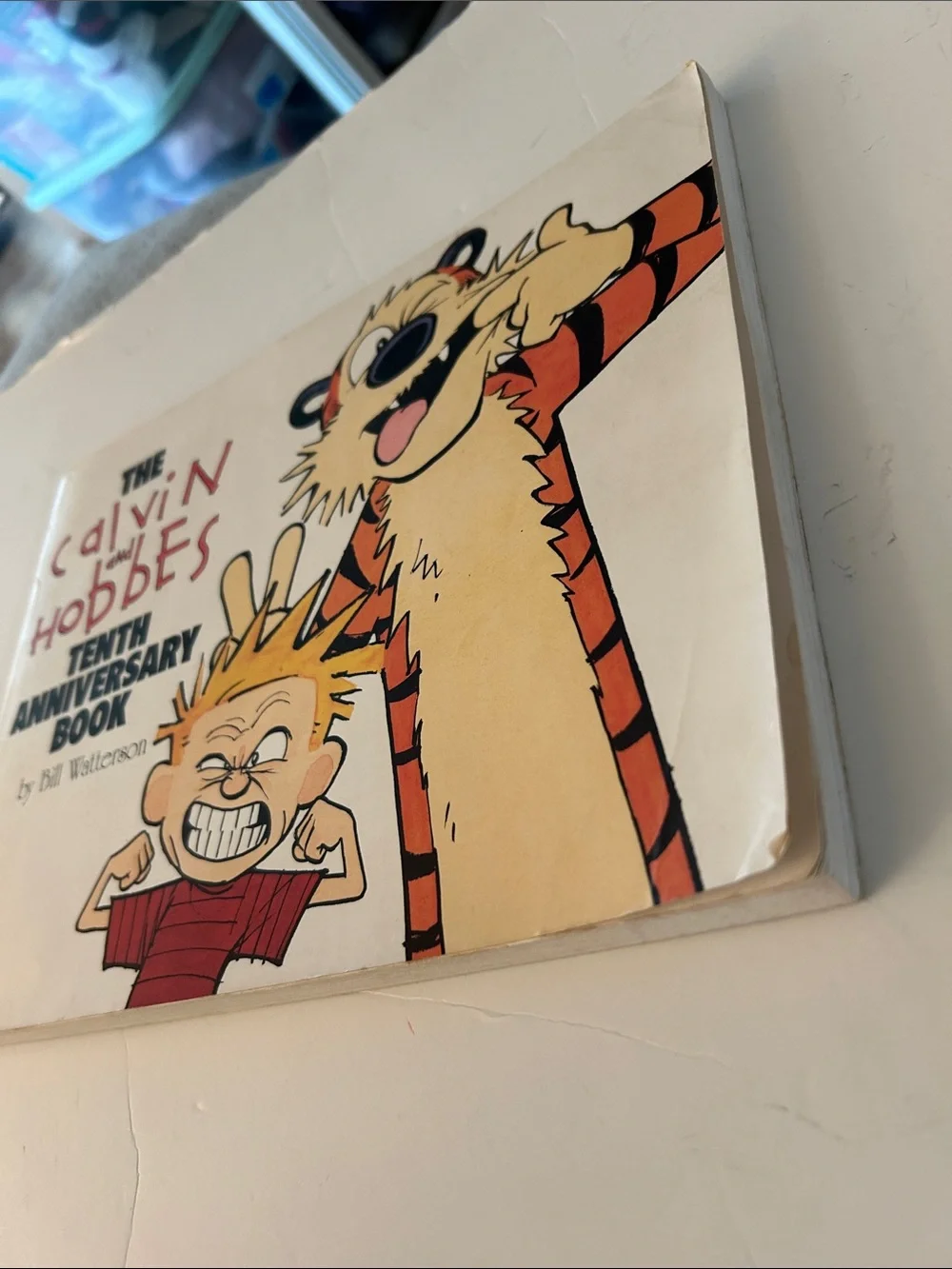 Calvin and Hobbes Tenth Anniversary Book by bill watterson copyright 1995